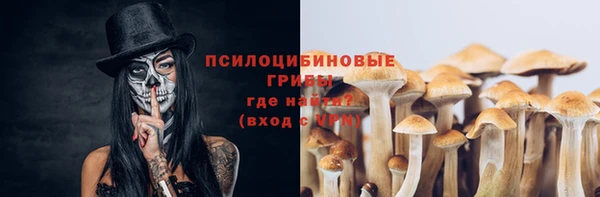 ГАЛЛЮЦИНОГЕННЫЕ ГРИБЫ Аркадак