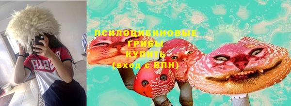 ГАЛЛЮЦИНОГЕННЫЕ ГРИБЫ Аркадак